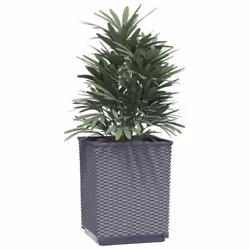 vidaXL Planters Raised Garden Bed Flower Plant Pot Planter Pot Polypropylene - dark grey, 2 pcs