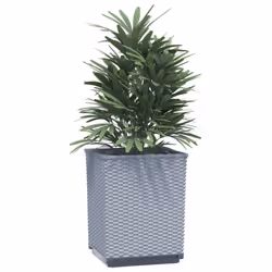 vidaXL Planters Raised Garden Bed Flower Plant Pot Planter Pot Polypropylene - light grey, 2 pcs