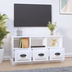 VidaXL 816288 TV cabinet/entertainment centre