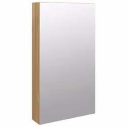 vidaXL Mirror Jewellery Cabinet Cupboard with LED Lights Wall Mounted Black - brown