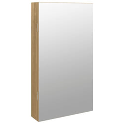 vidaXL Mirror Jewellery Cabinet Cupboard with LED Lights Wall Mounted Black - brown