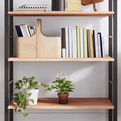 VidaXL 363563 shelve Oak
