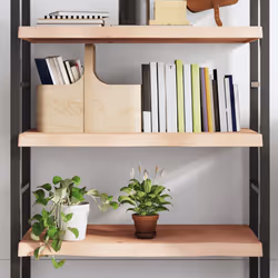 VidaXL 363565 shelve Oak