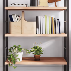 VidaXL 363567 shelve Oak