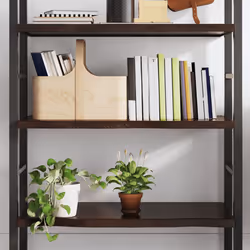 VidaXL 363789 shelve Oak Dark brown
