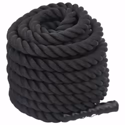 vidaXL Battle Rope Gym Exercise Rope Workout Equipment 9 kg Black Polyester - 12 m