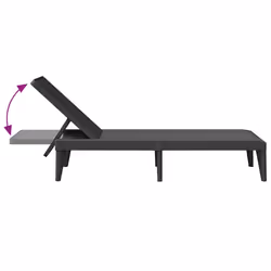 VidaXL 364219 outdoor chair Lounge Polypropylene (PP) Anthracite - Additional view 7