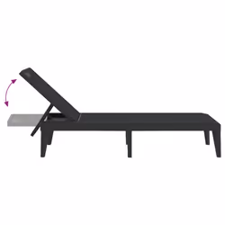 VidaXL 364221 outdoor chair Lounge Polypropylene (PP) Anthracite - Additional view 7
