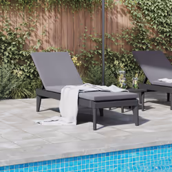 VidaXL 364223 outdoor chair Lounge Padded seat Polypropylene (PP) Anthracite