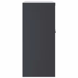 vidaXL File Cabinet Locking Storage Cabinet Filing Cabinet Anthracite Steel
