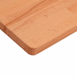 vidaXL Table Top Wooden Replacement Desk Top Dining Table Top Solid Wood Beech - brown, 70 x 70 x 2.5 cm - Additional view 5