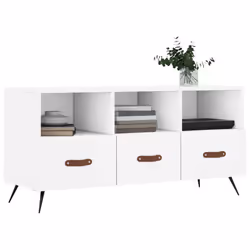 VidaXL 829004 TV cabinet/entertainment centre