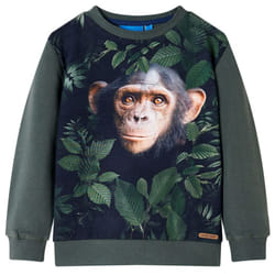 ) Kids' Sweatshirt Children Long Sleeves Pullover Clothes Top Dark Khaki 116 - dark khaki, 104 (3-4y