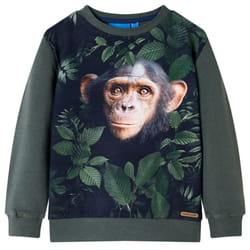 ) Kids' Sweatshirt Children Long Sleeves Pullover Clothes Top Dark Khaki 116 - dark khaki, 116 (5-6y