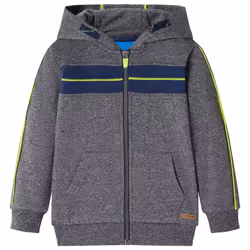 Kids' Hooded Sweatshirt Children with Zip Kids Hoodie Jacket Grey Melange - 116