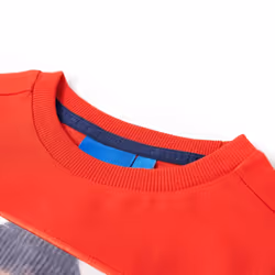 Kids' T-shirt with Long Sleeves Children's T Shirt Kids' Tops Tee Tiger Print - red, 104