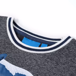 Kids' Sweatshirt Long Sleeves Toddler Children Tops Pullover Top Fox Print - melange, 104