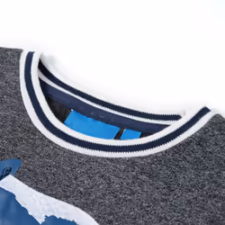 Kids' Sweatshirt Long Sleeves Toddler Children Tops Pullover Top Fox Print - melange, 116