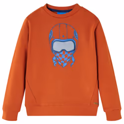 Kids' Sweatshirt Children's Long Sleeves Pullover Toddler Kids Top Light Rusty - 104