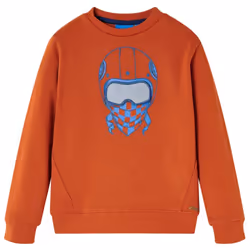Kids' Sweatshirt Children's Long Sleeves Pullover Toddler Kids Top Light Rusty - 128