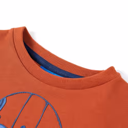 Kids' Sweatshirt Children's Long Sleeves Pullover Toddler Kids Top Light Rusty - 128