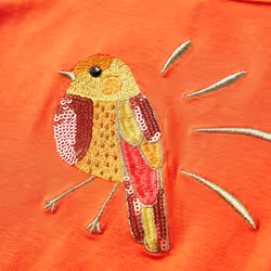 Kids' T-shirt with Long Sleeves Children's T Shirt Kids' Tops Tee Bird Design - orange, 104