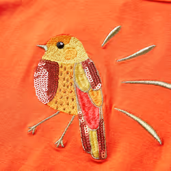 Kids' T-shirt with Long Sleeves Children's T Shirt Kids' Tops Tee Bird Design - orange, 116
