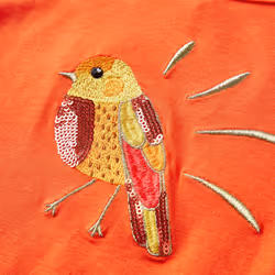 Kids' T-shirt with Long Sleeves Children's T Shirt Kids' Tops Tee Bird Design - orange, 140