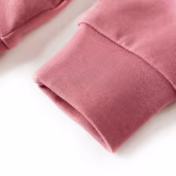 Kids' Sweatshirt Long Sleeves Toddler Tops Pullover Velvet Patchwork Raspberry - 104