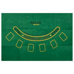 , 600 piece) vidaXL Poker Chip Set Poker Set 2 Decks Card Shoe Card Shuffler Blackjack Set - chip (11.5 g - Additional view 4