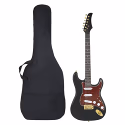vidaXL Electric Guitar for Beginner with Bag Starter Guitar Acoustic Guitar - black and gold