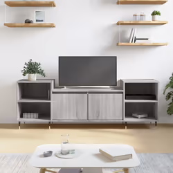 VidaXL 831338 TV cabinet/entertainment centre