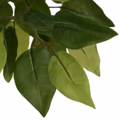 vidaXL Artificial Ficus Tree Fake Plant Artificial Plant 756 Leaves Green - 200 cm