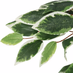 vidaXL Artificial Ficus Tree Fake Plant Artificial Plant 756 Leaves Green - 80 cm