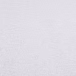 vidaXL Guest Towels 10 pcs White 30x50 cm 360 gsm 100% Cotton towel face towel