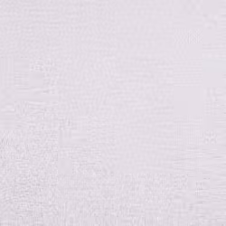vidaXL Shower Towels 25 pcs White 70x140 cm 360 gsm 100% Cotton towel