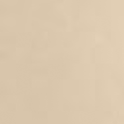 vidaXL Plant Fleece Frost Protection Outdoor Plant Cover Garden Fleece 70 g/mÂ² - beige, 10 x 1.6 m/ 1 pcs - Additional view 6