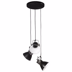 vidaXL Hanging Lamp Ceiling Lamp Chandelier Pendant Lighting 25 W Black E27