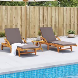 VidaXL 3206373 outdoor chair Lounge Padded seat Acacia wood Grey