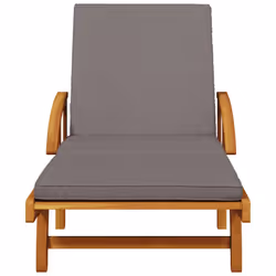 VidaXL 3206373 outdoor chair Lounge Padded seat Acacia wood Grey