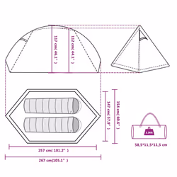 vidaXL Camping Tent 2 Persons Outdoor Hiking Portable Dome Tent Waterproof - white