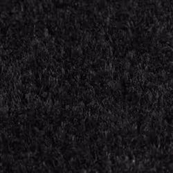vidaXL Door Mats Floor Mat Outdoor Entrance Doormat 2 pcs Black Tufted Coir