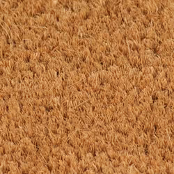 vidaXL Door Mat Floor Mat Indoor Entrance Mat Doormat Natural Tufted Coir