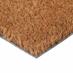 vidaXL Door Mat Floor Mat Outdoor Mat Entrance Doormat Natural Tufted Coir