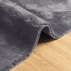 vidaXL Rug Short Pile Soft and Washable Floor Mat Area Rug Bedroom Carpet - anthracite, 160 x 160 cm - Additional view 5