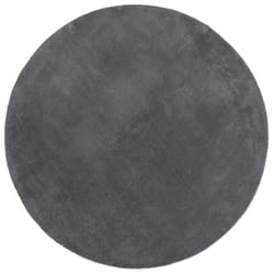 vidaXL Rug Short Pile Soft and Washable Floor Mat Area Rug Bedroom Carpet - anthracite, 80 cm