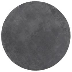 vidaXL Rug Short Pile Soft and Washable Floor Mat Area Rug Bedroom Carpet - anthracite, 120 cm