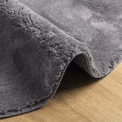 vidaXL Rug Short Pile Soft and Washable Floor Mat Area Rug Bedroom Carpet - anthracite, 120 cm - Additional view 5