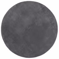 vidaXL Rug Short Pile Soft and Washable Floor Mat Area Rug Bedroom Carpet - anthracite, 200 cm
