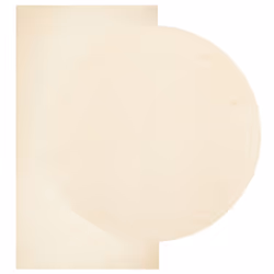 vidaXL Rug Short Pile Soft and Washable Floor Mat Area Rug Bedroom Carpet - cream, 60 x 110 cm - Additional view 2